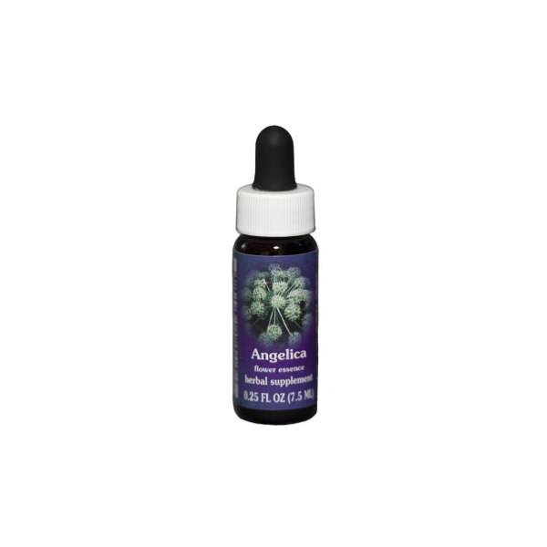 E.F. ANGELICA 7,5 ML FES CALIFORNIA