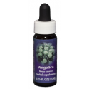 E.F. ANGELICA 7,5 ML FES CALIFORNIA