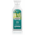 ALOE VERA CHAMPU 84% 500 CC. JASON