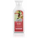 JOJOBA CHAMPU 500 CC JASON