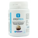 ERGYREG 60  CAP NUTERGIA