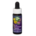 E.F. YARROW SPECIAL 7,5 ML FES CALIFORNIA