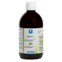 Comprar onl,ine ERGYSIL SILICIO ORGANICO SOLUCIÓN 500 ML NUTERGIA