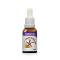 SAINT GERMAIN PURPUREUM 10 ML.
