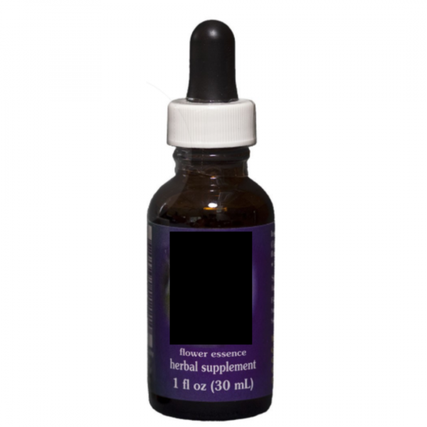 E.F. BASIL 30 ML. FES CALIFORNIA