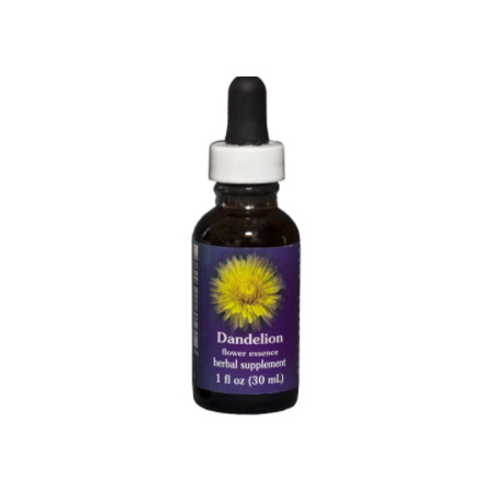 E.F. DANDELION 30 ML FES CALIFORNIA