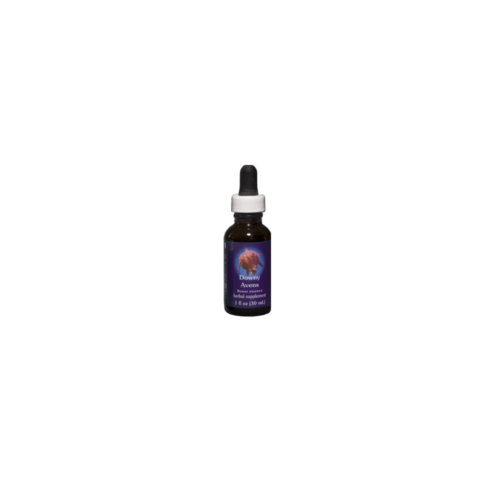 E.F. DOWNY AVENS 30 ML. FES CALIFORNIA