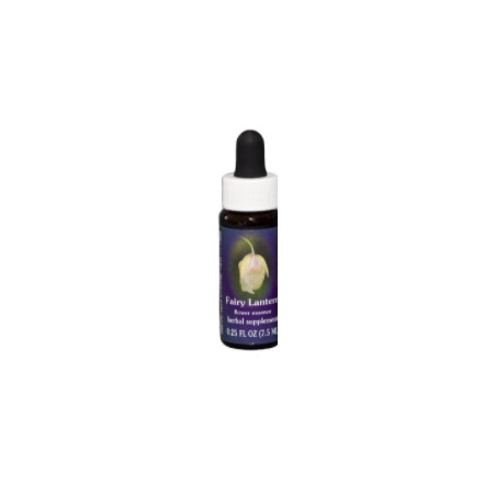 E.F. FAIRY LANTERN 7,5 ML FES CALIFORNIA