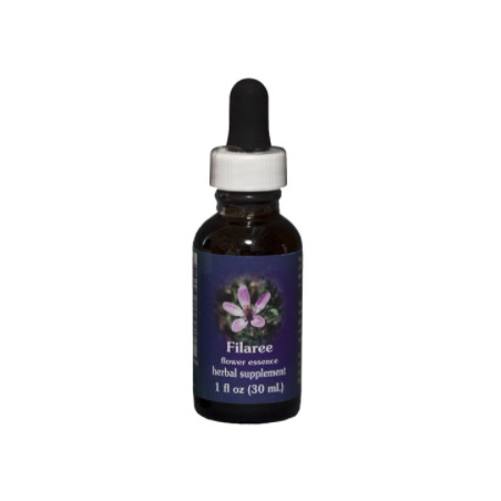 E.F. FILAREE 30 ML FES CALIFORNIA