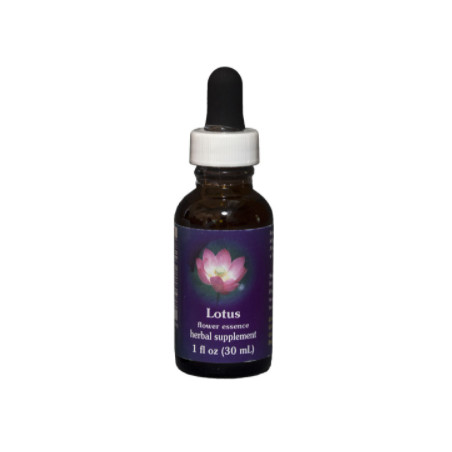 E.F. LOTUS 30 ML. FES CALIFORNIA