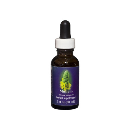 E.F. MULLEIN 30 ML FES CALIFORNIA
