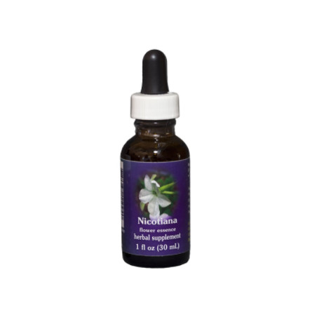 E.F. NICOTIANA 30 ML FES CALIFORNIA