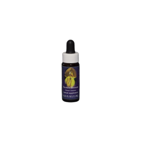 E.F. SCOTCH BROOM 7,5 ML FES CALIFORNIA