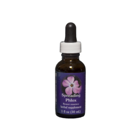 E.F. SPREADING PHLOX 30 ML. FES CALIFORNIA