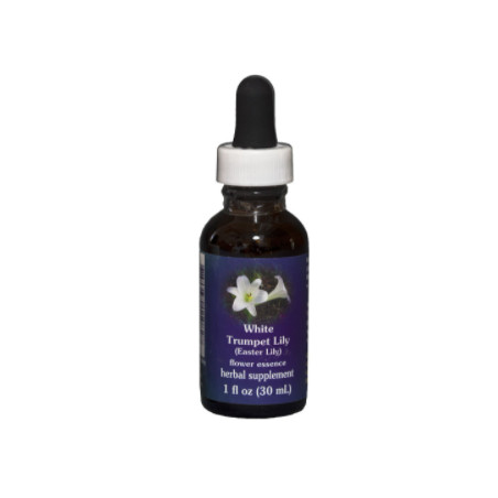 E.F. WHITE TRUMPET LILY (EASTER LILY) 30 ML FES CALIFORNIA