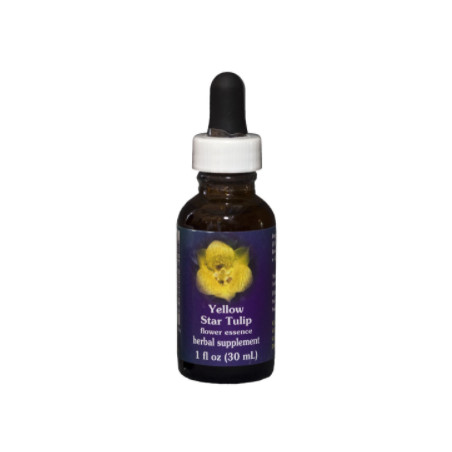 E.F. YELLOW STAR TULIP 30 ML FES CALIFORNIA