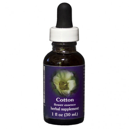 E.F. COTTON 30 ML. FES CALIFORNIA