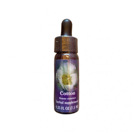E.F. COTTON 7,5 ML. FES CALIFORNIA