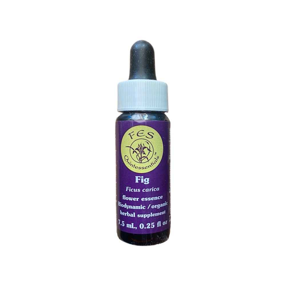 E.F. FIG 7,5 ML. FES CALIFORNIA