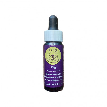 E.F. FIG 7,5 ML. FES CALIFORNIA