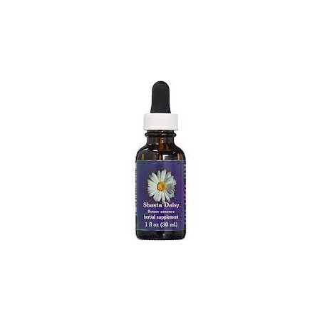E.F. SHASTA DAISY 30 ML FES CALIFORNIA
