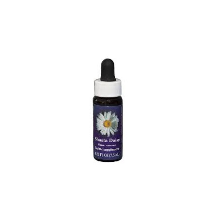 E.F. SHASTA DAISY 7,5 ML FES CALIFORNIA
