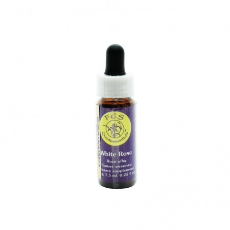 E.F. WHITE ROSE 7,5 ML. FES CALIFORNIA