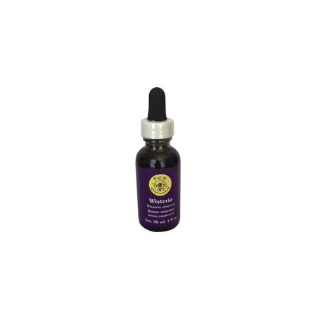 E.F. WISTERIA 30 ML. FES CALIFORNIA