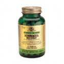 ECHINACEA ESTANDARIZADO 60 CAP SOLGAR