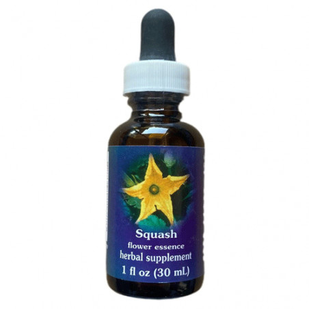 E.F. SQUASH (ZUCCHINI) 30 ML. FES CALIFORNIA