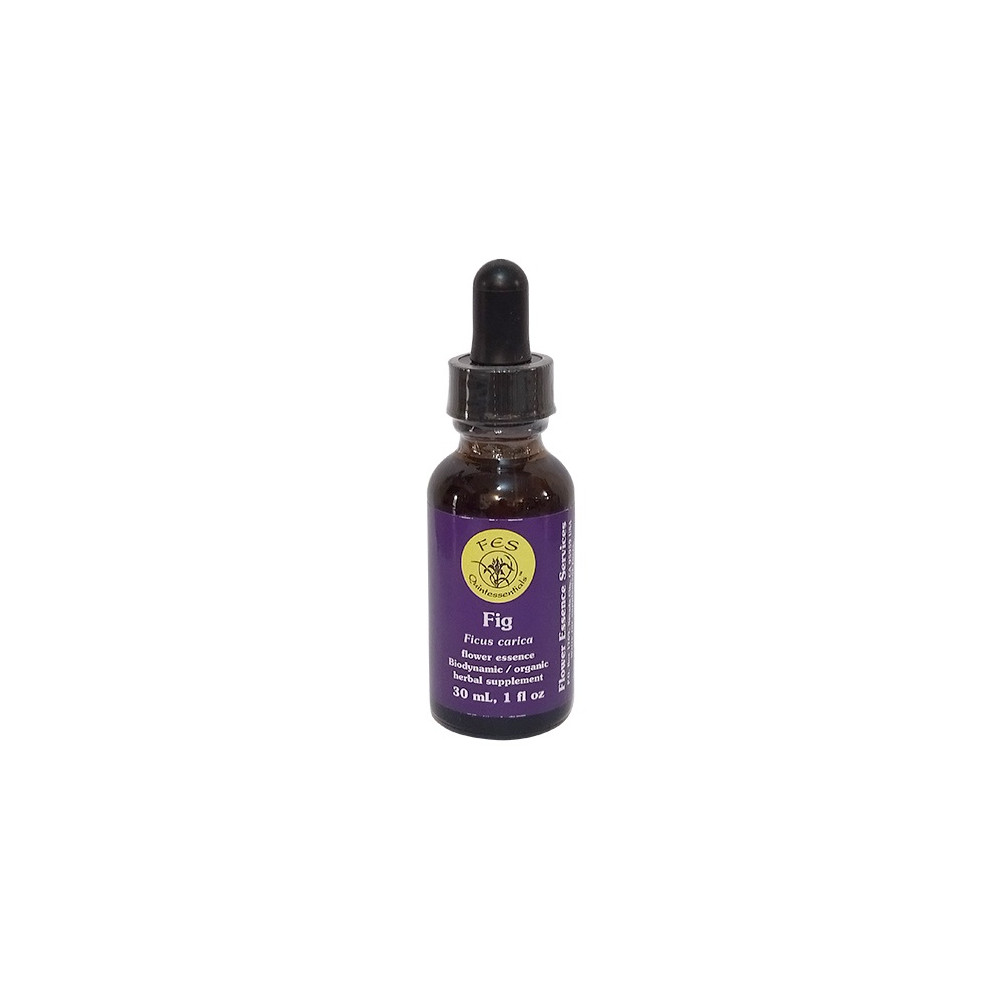 E.F. FIG 30 ML. FES CALIFORNIA