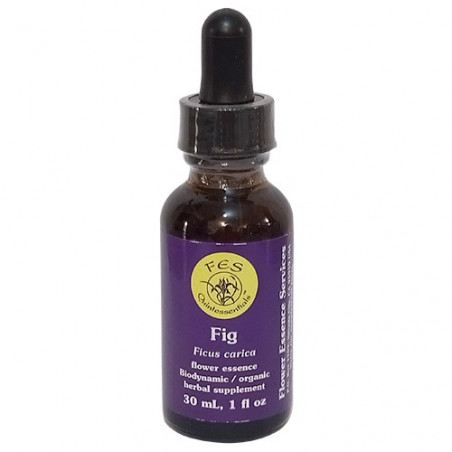 E.F. FIG 30 ML. FES CALIFORNIA