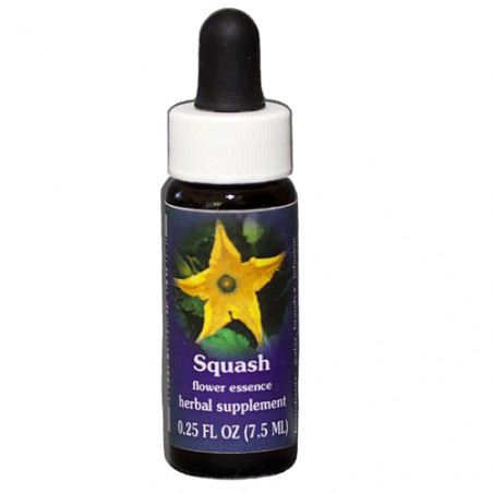 E.F. SQUASH (ZUCCHINI) 7,5 ML. FES CALIFORNIA