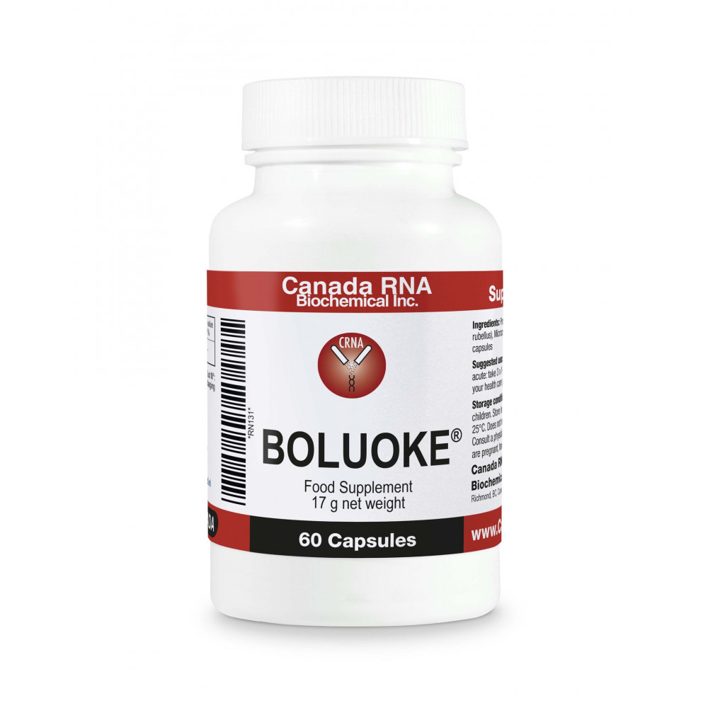 Comprar online BOLUOKE LUMBROKINASE 60 CAPS NUTRINED - Farmacia Coliseum