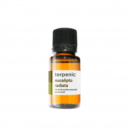 Comprar EUCALIPTO RADIATA 10 ML ACEITE ESENCIAL TERPENIC LABS online - Coliseum