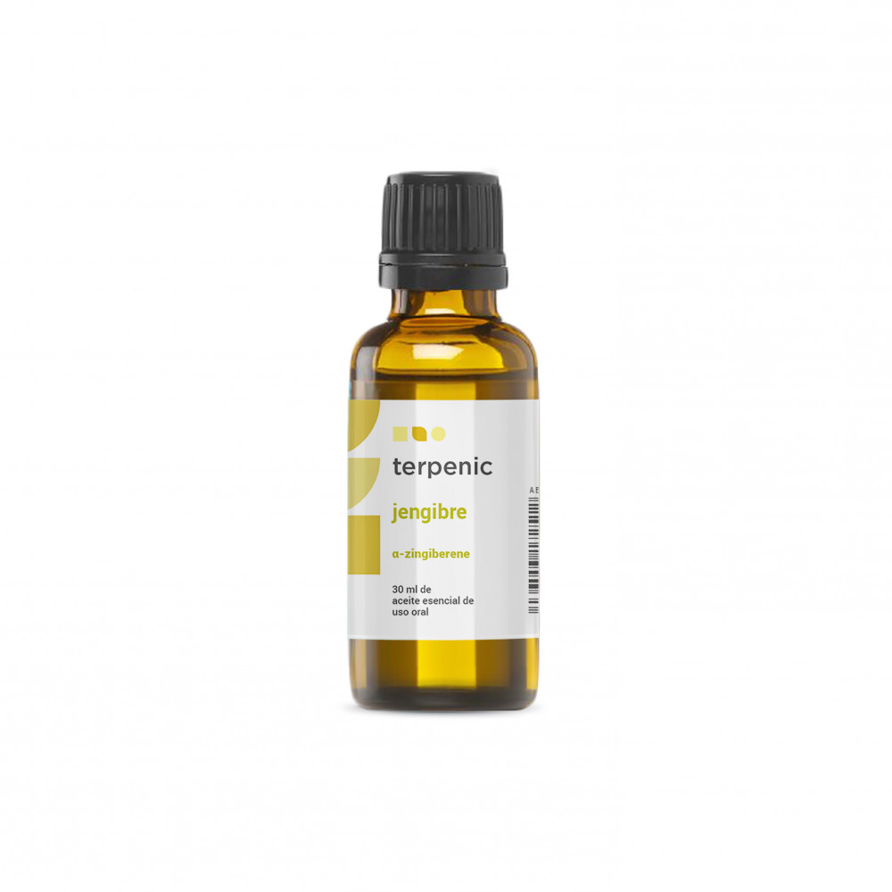 Comprar JENGIBRE 30 ML ACEITE ESENCIAL TERPENIC LABS online - Coliseum