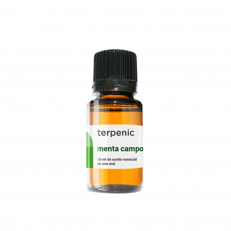 Comprar MENTA CAMPO 10 ML ACEITE ESENCIAL TERPENIC LABS online - Coliseum