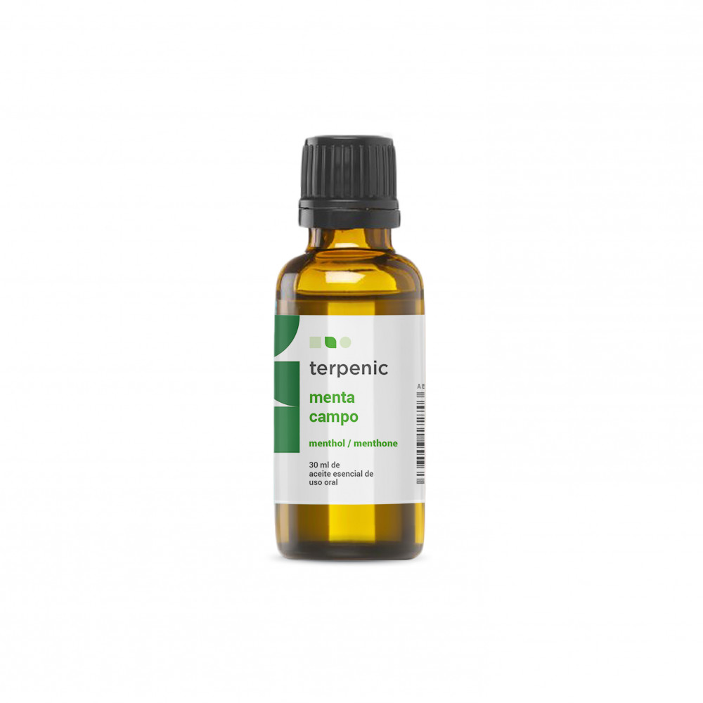 Comprar MENTA CAMPO 30 ML ACEITE ESENCIAL TERPENIC LABS online - Coliseum