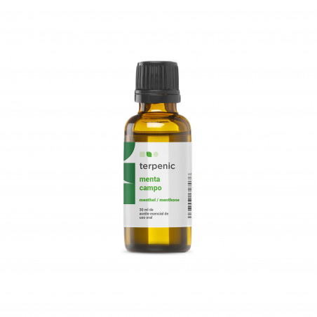Comprar MENTA CAMPO 30 ML ACEITE ESENCIAL TERPENIC LABS online - Coliseum
