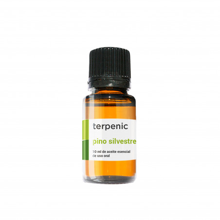 Comprar PINO SILVESTRE 10 ML ACEITE ESENCIAL TERPENIC LABS online - Coliseum