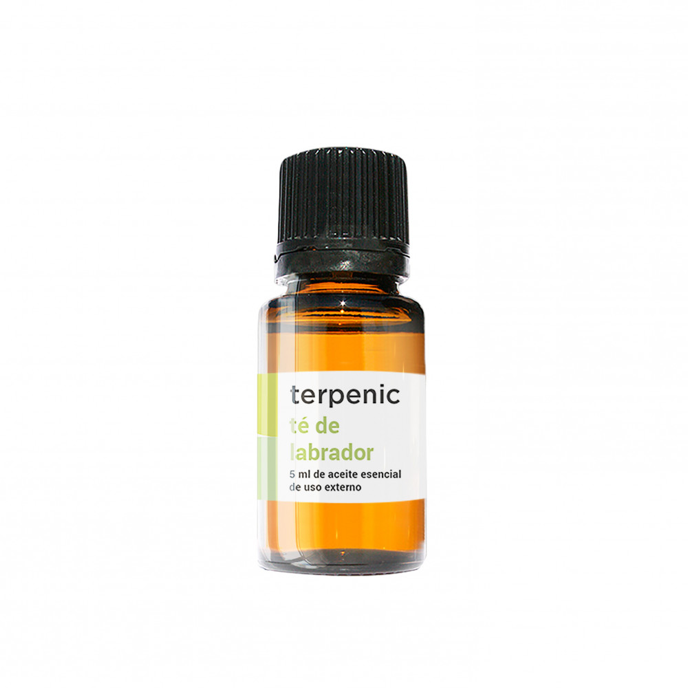 Comprar TE DE LABRADOR 5 ML ACEITE ESENCIAL TERPENIC LABS online - Coliseum