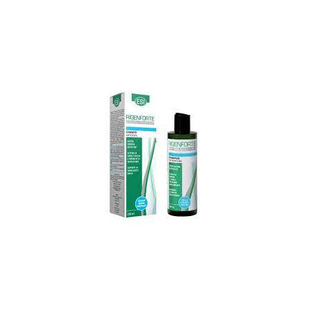 RIGENFORTE CHAMPU ANTICASPA 250 ML TREPAT DIET