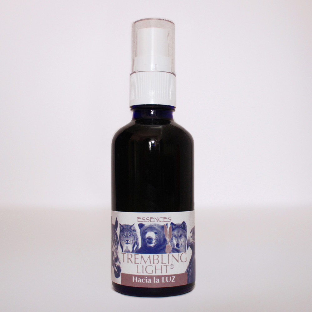 TREMBLING LIGHT HACIA LA LUZ SPRAY 50 ML
