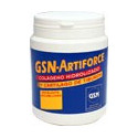 ARTIFORCE FRESA 300 G GSN