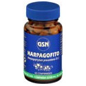 HARPAGOFITO 60 COMP GSN