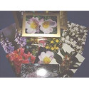 POSTALES 39 FLORES DR. BACH