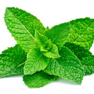 Complementos naturales con menta