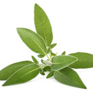 Complementos naturales con salvia