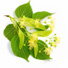 Complementos naturales con tila