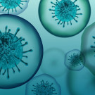 Productos para combatir las infecciones